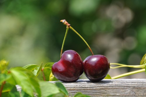 Image red round fruit on brown wooden table