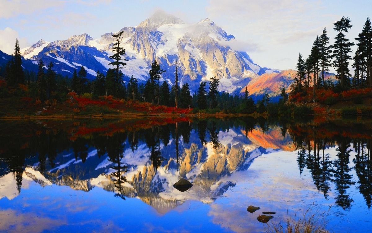 Tarjeta Regalo Cabelas 20, Cabelas, Tarjeta Regalo Cabelas, Tarjeta de Regalo, Bass Pro Shops. Wallpaper in 1920x1200 Resolution