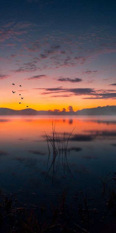 Eau, Atmosphère, L'écorégion, Oiseau, Afterglow. Wallpaper in 1500x3000 Resolution