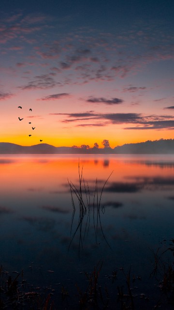 Image sunset, cloud, water, atmosphere, plant