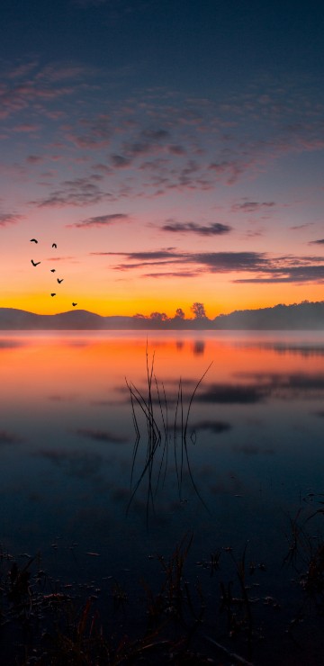 Image sunset, cloud, water, atmosphere, plant