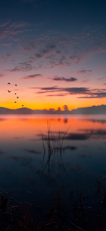 Image sunset, cloud, water, atmosphere, plant