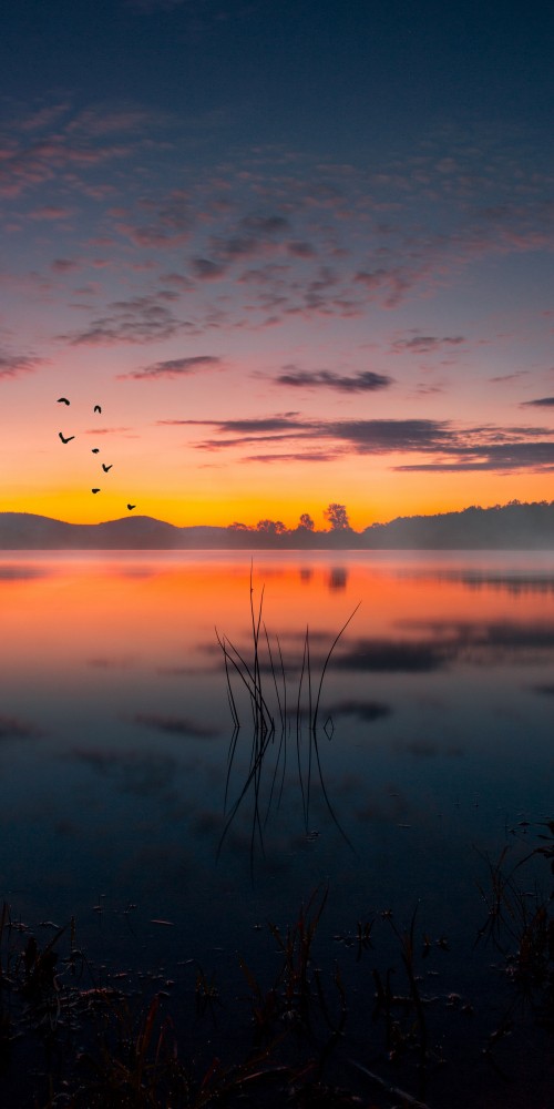 Image sunset, cloud, water, atmosphere, plant