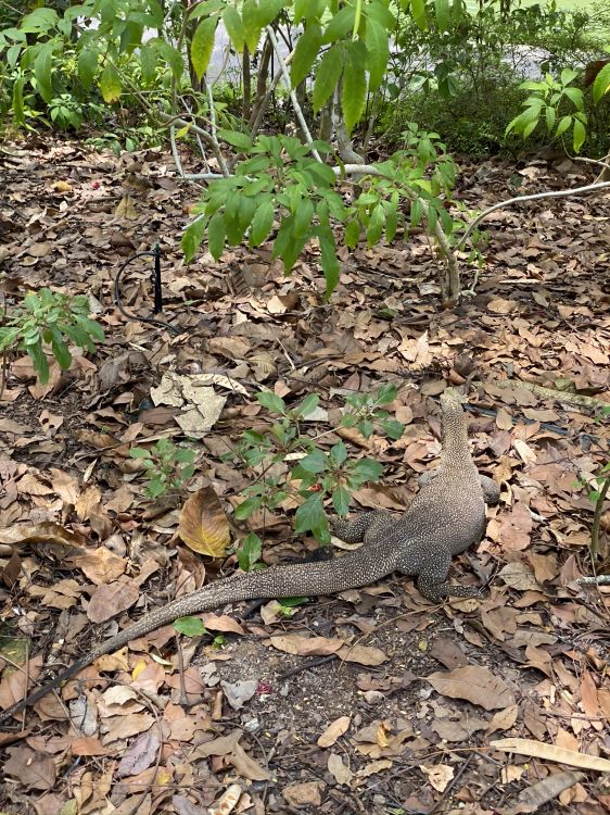Biologie, Sciences, Corps de L'eau, Nature, Végétation. Wallpaper in 1536x2048 Resolution