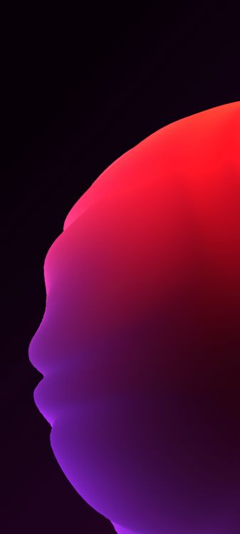 Meizu, Meizu 20 Pro, Violette, de Teintes et de Nuances, Pétale. Wallpaper in 896x1992 Resolution