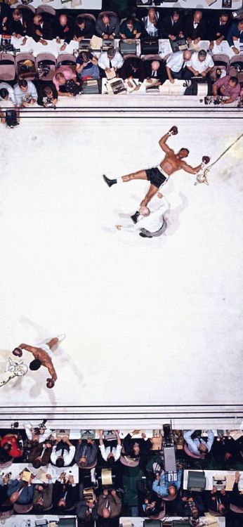 Neil Leifer Muhammad Ali, Astrodomo de Houston, Muhammad Ali vs Cleveland Williams, Boxeo, 5to Gimnasio. Wallpaper in 1125x2436 Resolution