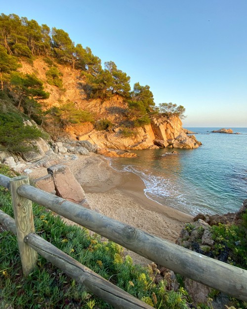 Image coast, promontory, headland, plant, shore