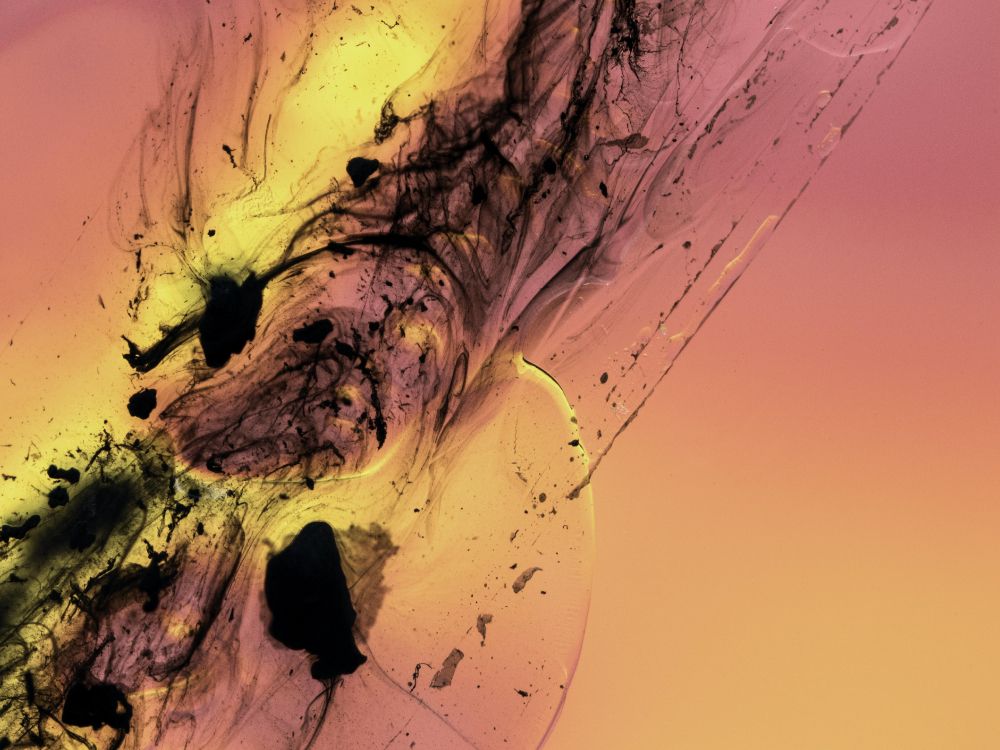 Fluide, Liquid, la Pureté de la Couleur. Wallpaper in 5120x3840 Resolution