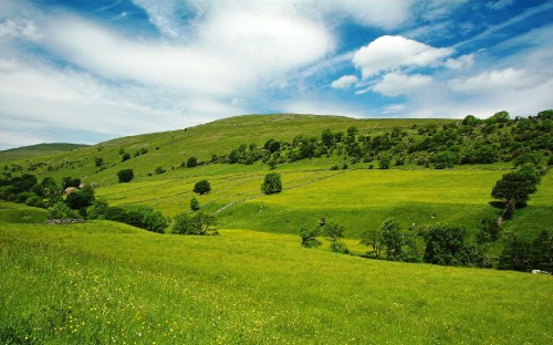 Image green grass field under blue sky during daytime