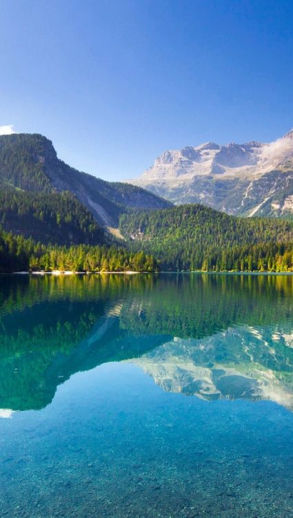 parco naturale adamello brenta, nature, water, mountain, azure