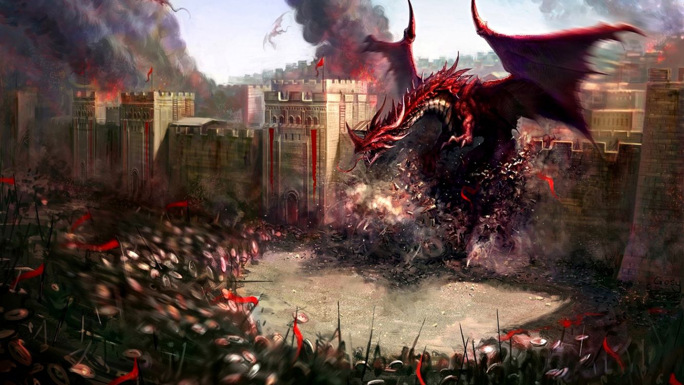 Flores Rojas y Blancas Cerca Del Edificio. Wallpaper in 2560x1440 Resolution