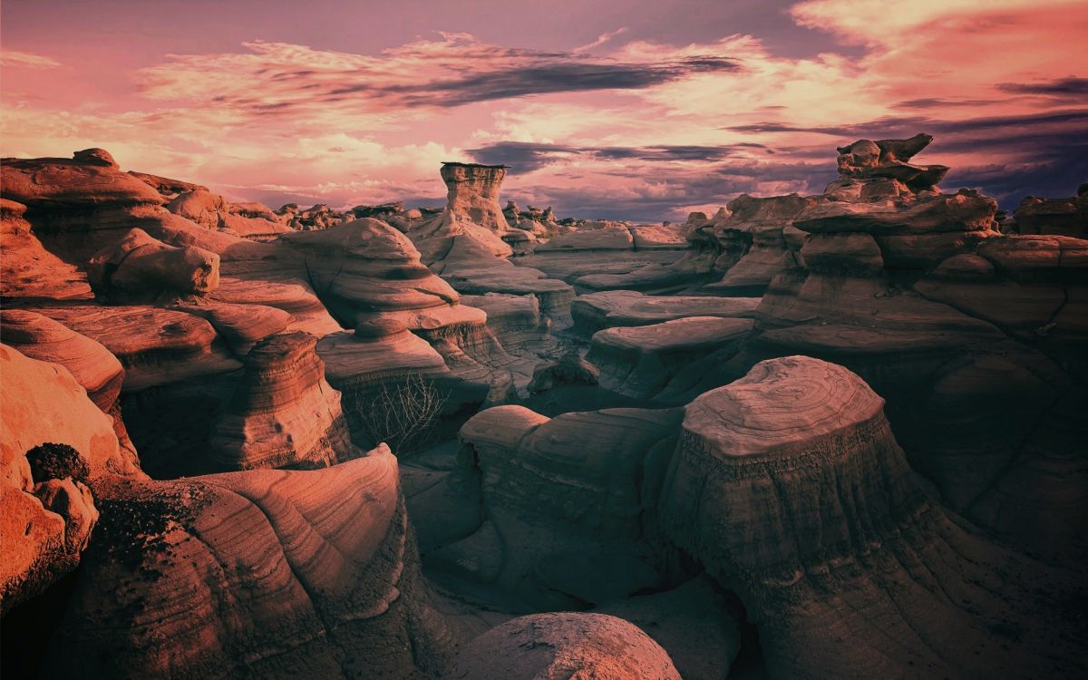 Bisti De-Na-Zin荒野, 荒地, 性质, 形成, 地质学 壁纸 2560x1600 允许