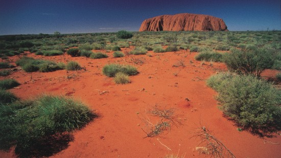 Image green grass and brown sand