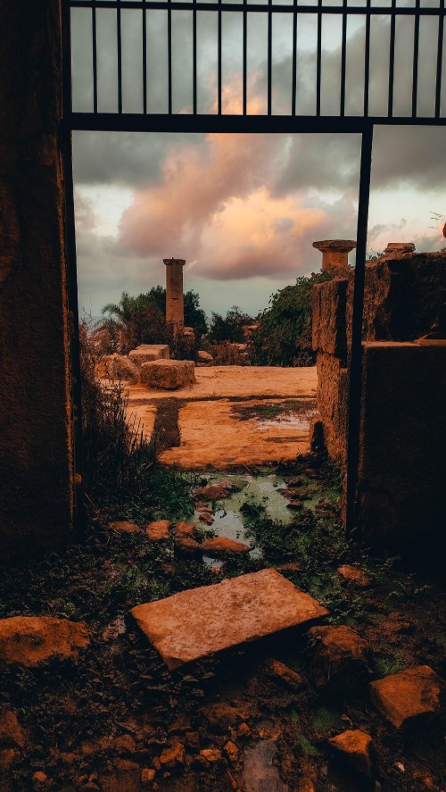 Image wake up in the sky, cloud, plant, wood, brickwork