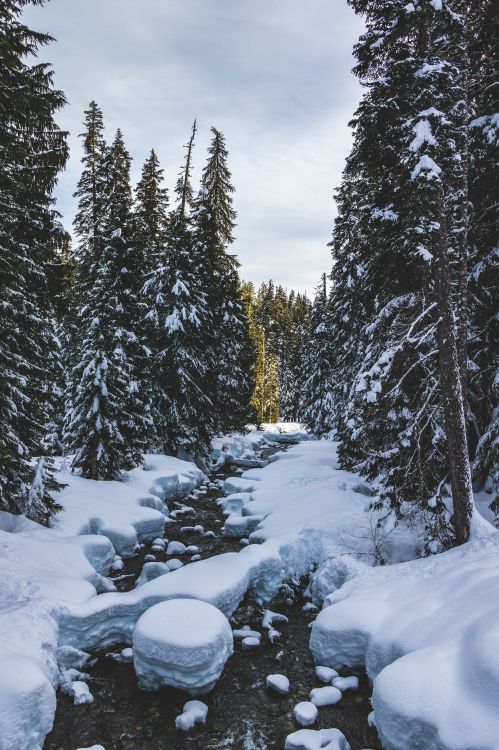 Invierno, Nieve, Congelación, Desierto, Entorno Natural. Wallpaper in 3030x4546 Resolution