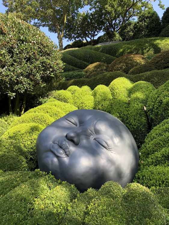 Natur, Vegetation, Pflanzen-Gemeinschaft, Staude, Garden. Wallpaper in 1536x2048 Resolution