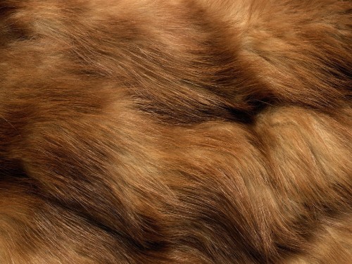 Image brown and black fur textile