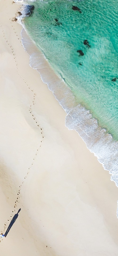 Image water, ecoregion, beach, wood, landscape