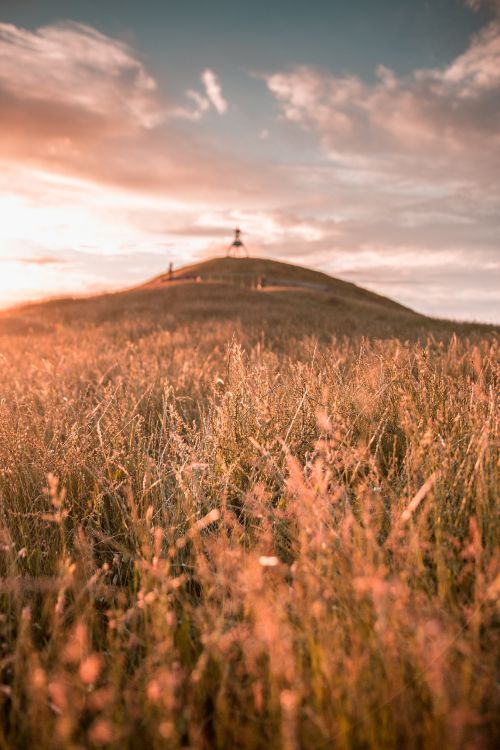 A-Eye, nature, grassland, golden hour, sky