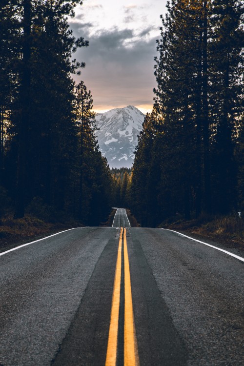 Image road, highway, asphalt, tree, road surface