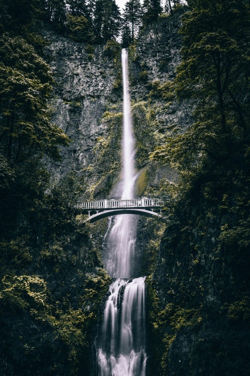 Image waterfall, Multnomah Falls, body of water, water, water resources