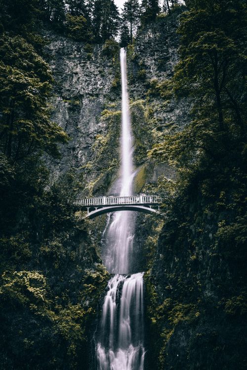 waterfall, Multnomah Falls, body of water, water, water resources