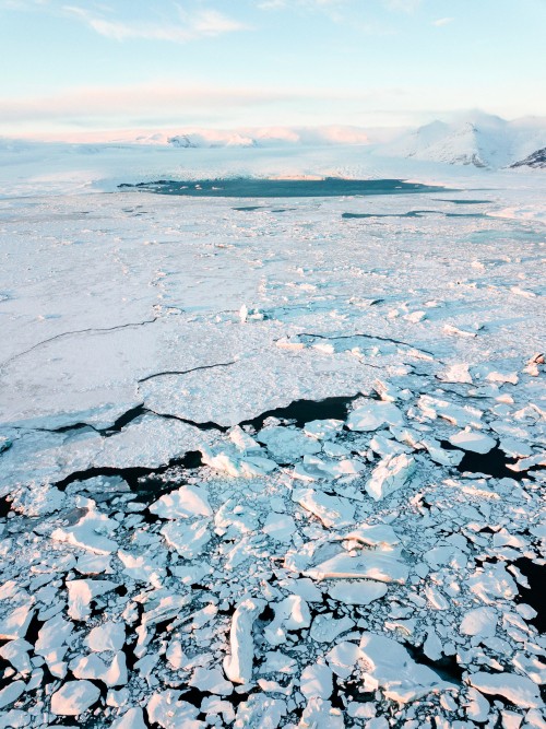 Image sea ice, ice, arctic ocean, arctic, water