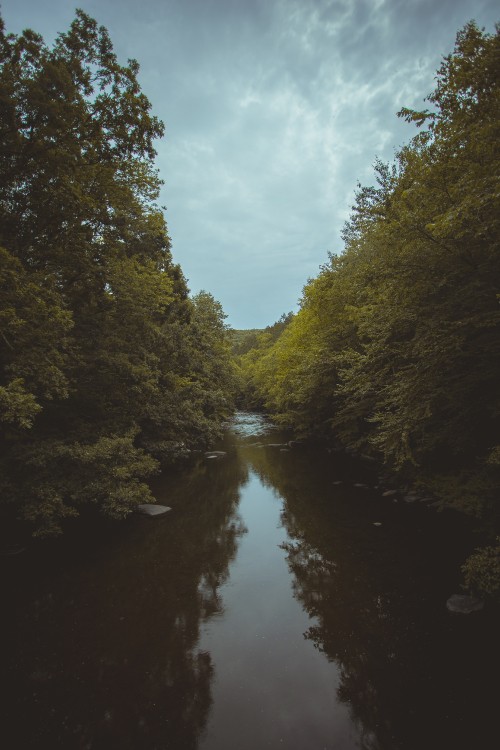 Image tree, sky, evening, natural landscape, waterway