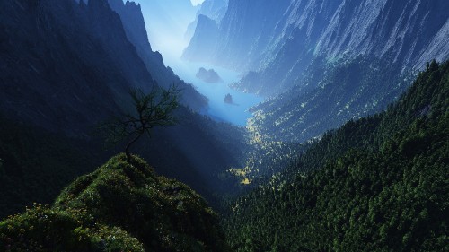 Image green trees on mountain during daytime