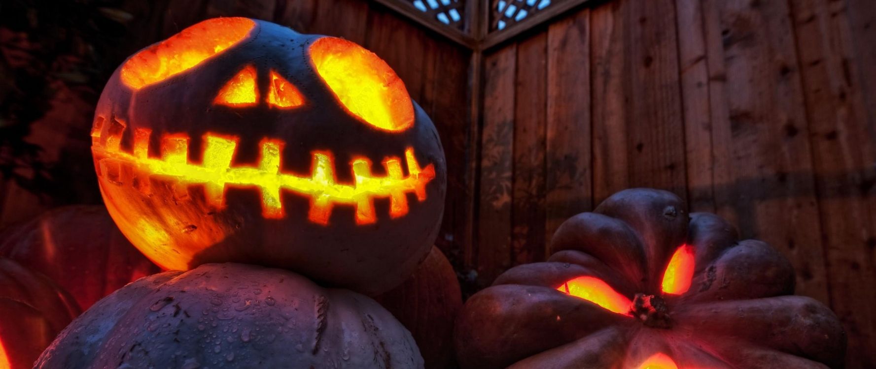 jack o lantern, calabaza, Pumpkin, winter squash, cucurbita