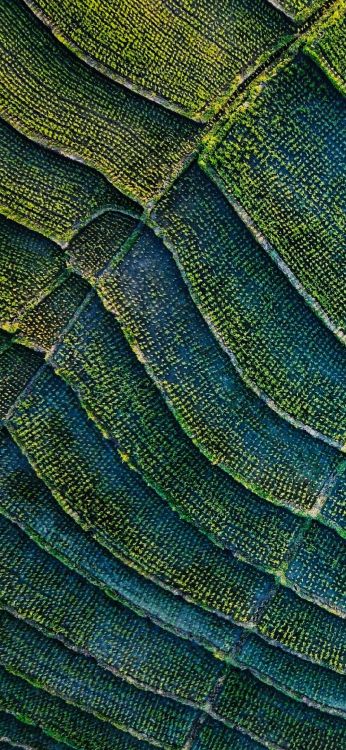 Feuille, Azure, Aqua, de Teintes et de Nuances, Laine. Wallpaper in 1080x2340 Resolution