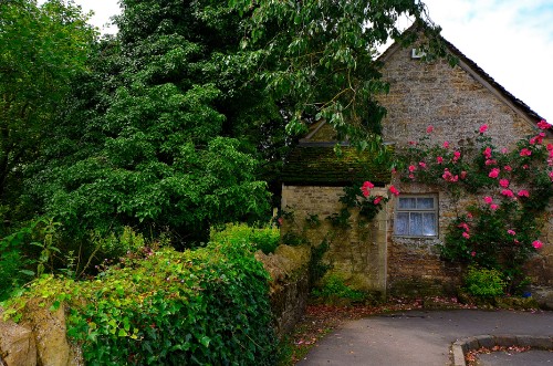 Image green trees beside brown concrete house during daytime