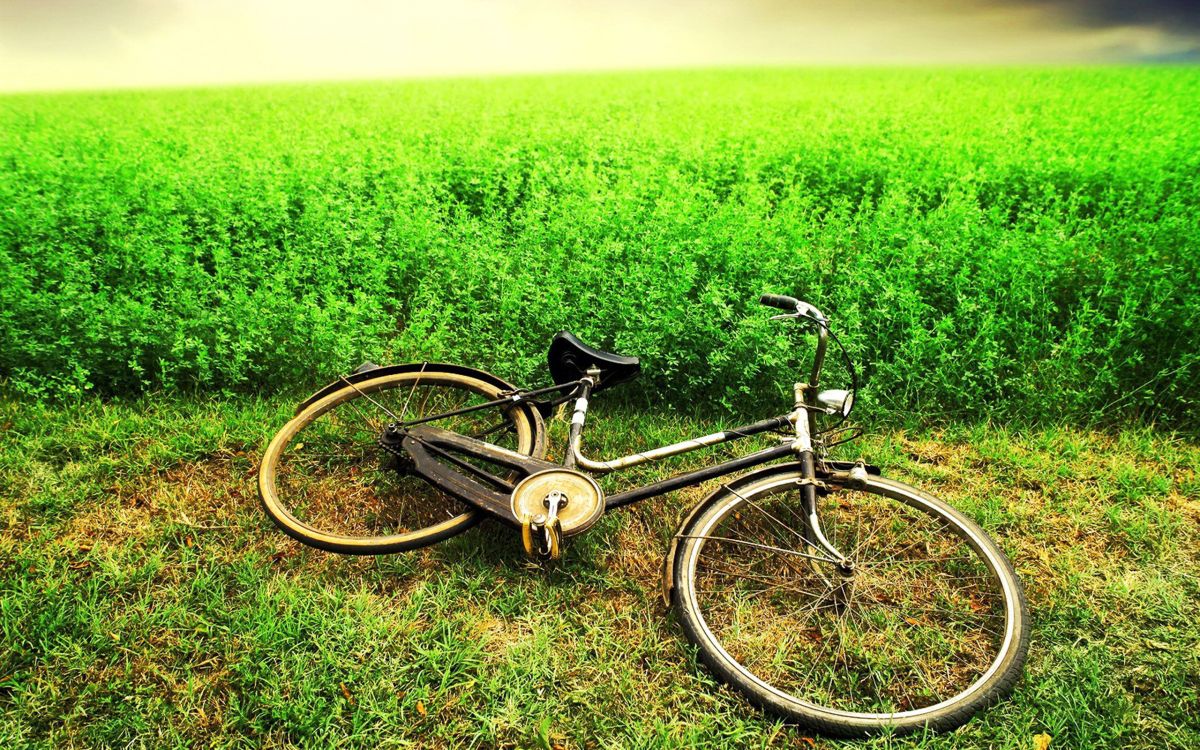 Schwarzes Und Braunes Citybike Auf Grüner Wiese Tagsüber. Wallpaper in 2560x1600 Resolution