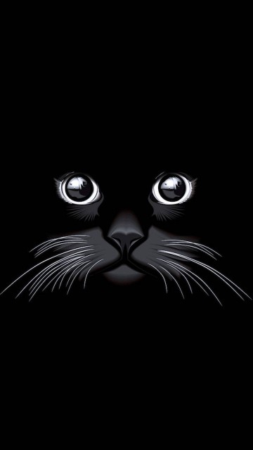 persian cat wallpaper 4k phone