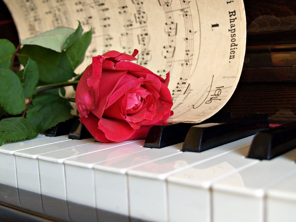 Piano, Partitura, Tecla, el Pianista, Teclado Musical. Wallpaper in 3264x2448 Resolution