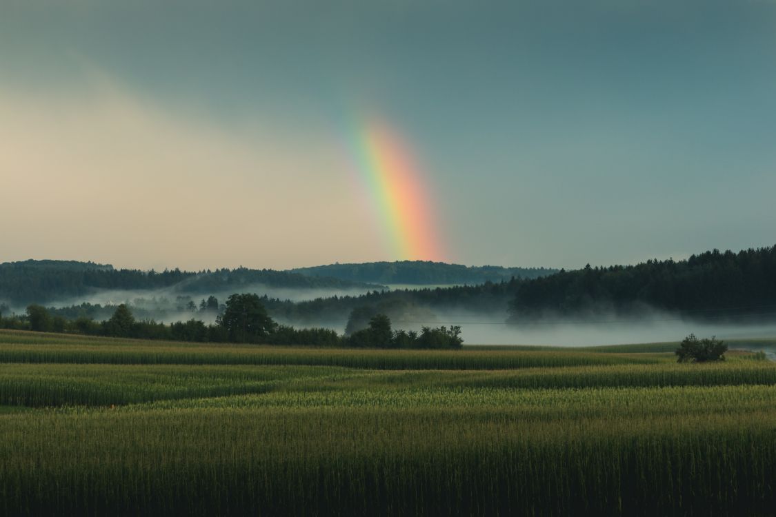 Rainbow, Nature, Green, Paysage Naturel, Champ. Wallpaper in 5157x3438 Resolution