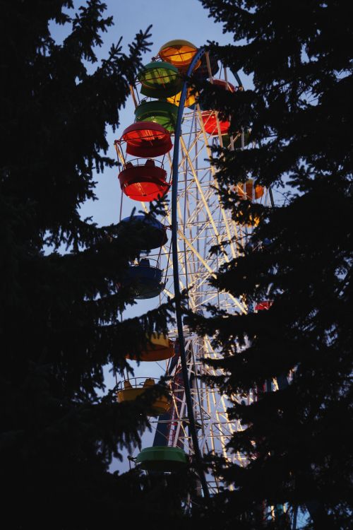 Pino Verde Con Adornos Rojos. Wallpaper in 2000x3000 Resolution