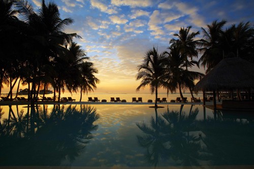 Image palm trees near body of water during daytime