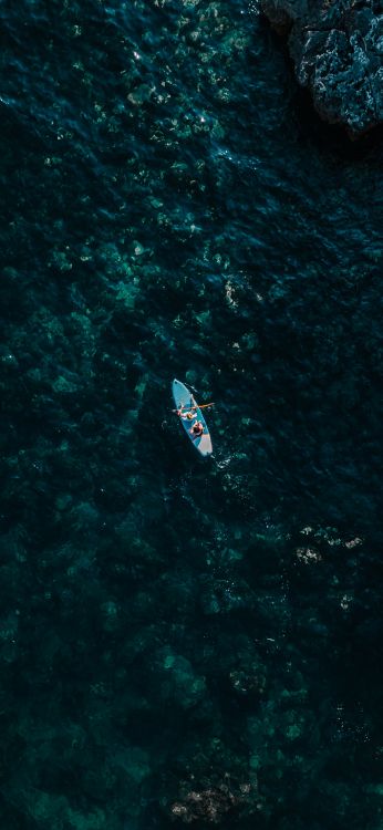 Wasser, Marine Biologie, Wissenschaft, Wasserfahrzeug, Boot. Wallpaper in 1080x2340 Resolution