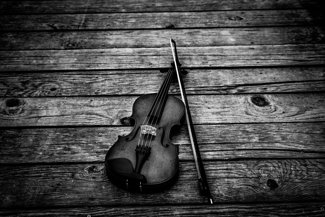 Instrumento de Cuerda, Instrumento Musical, Sica, Negro, Familia Del Violín. Wallpaper in 5616x3744 Resolution