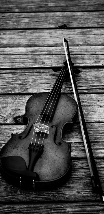 Image violin, string instrument, musical instrument, music, black