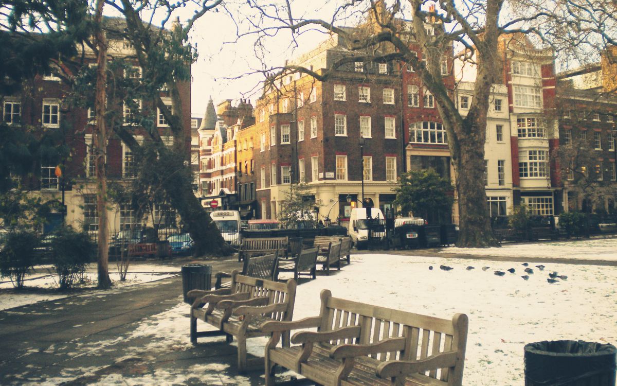 Braune Holzbank Auf Schneebedecktem Boden. Wallpaper in 2560x1600 Resolution