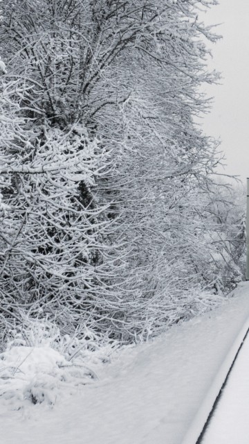 Image train tracks in snow, train, rail transport, snow, track