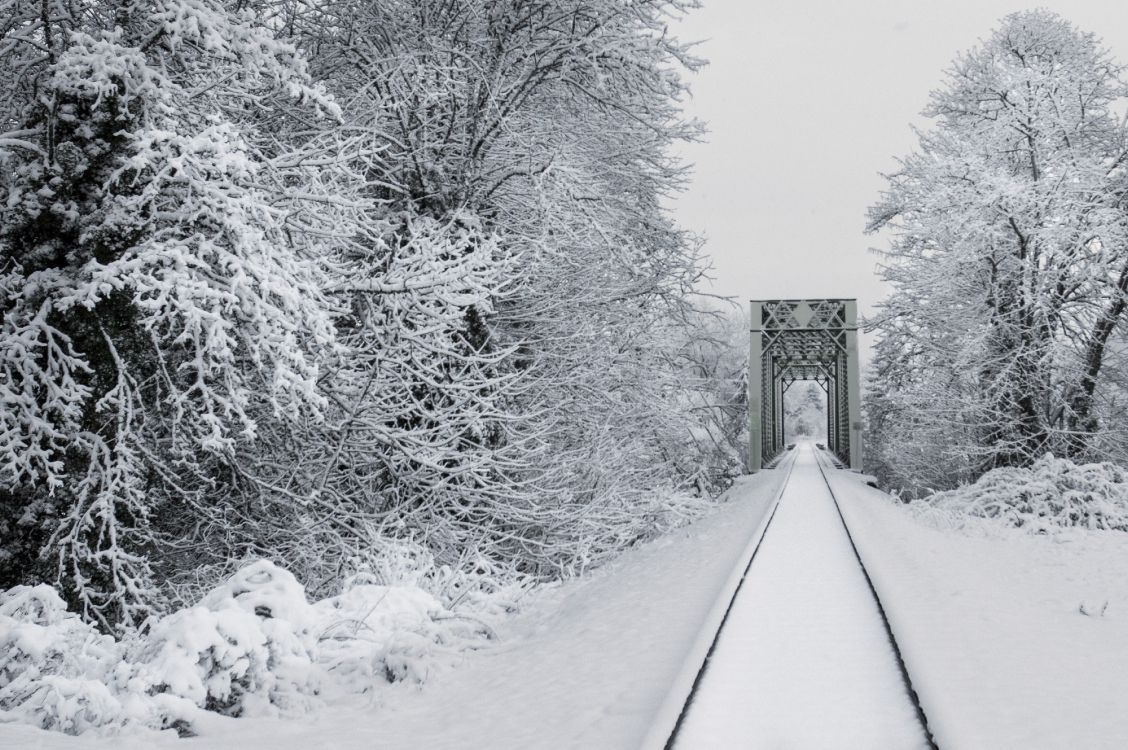 train tracks in snow, train, rail transport, snow, track