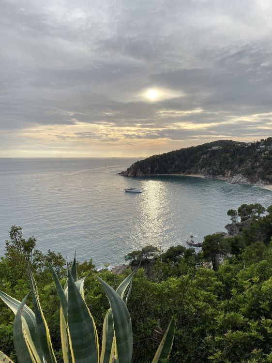 sea, body of water, mountainous landforms, nature, vegetation