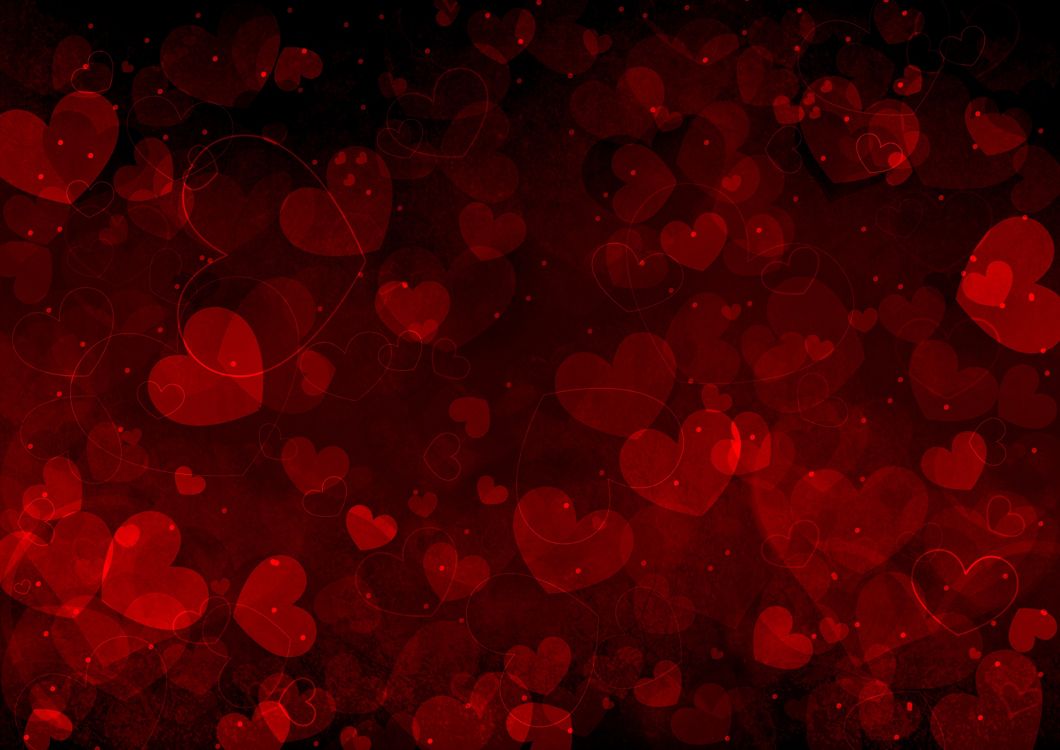 Heart, Vector Graphics, Valentines Day, Red, Petal. Wallpaper in 2560x1810 Resolution