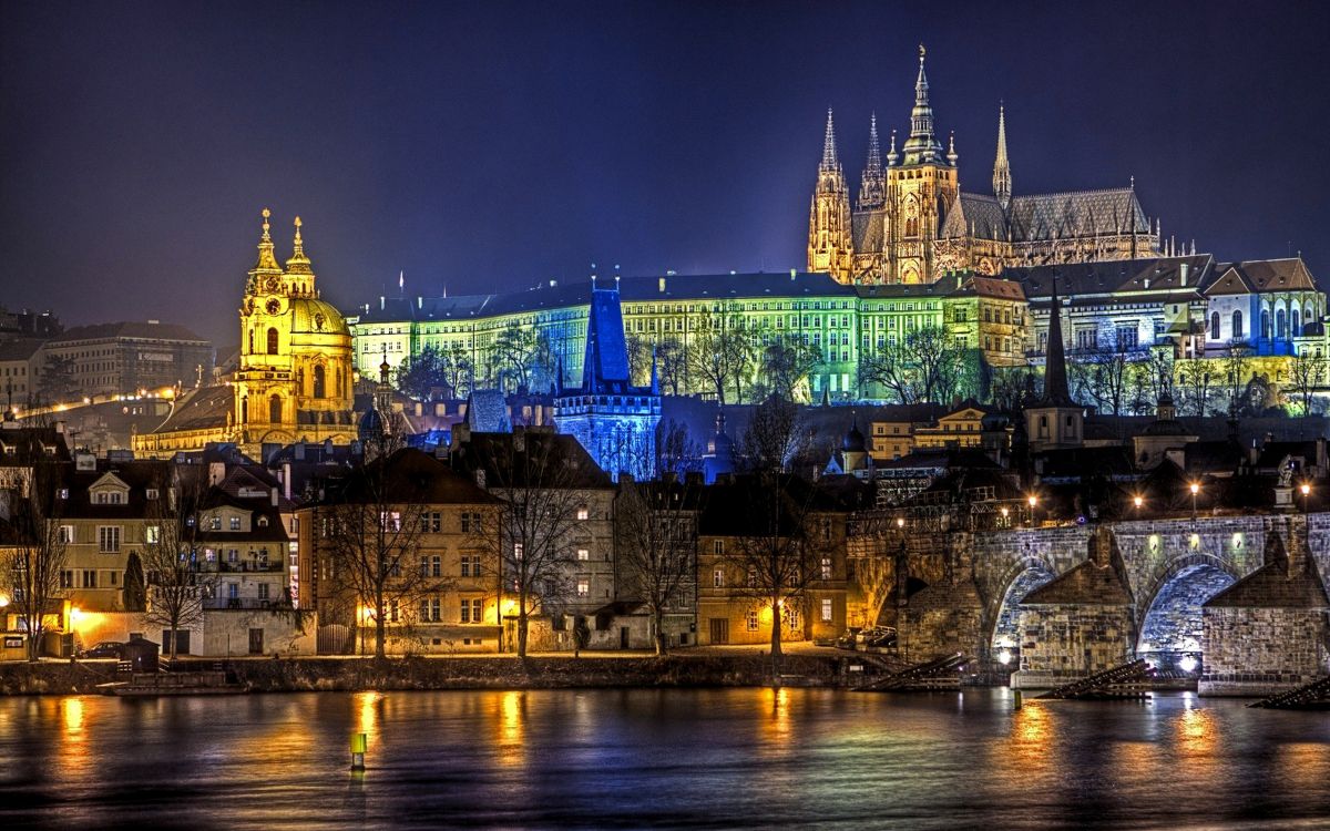 blue and brown castle during night time