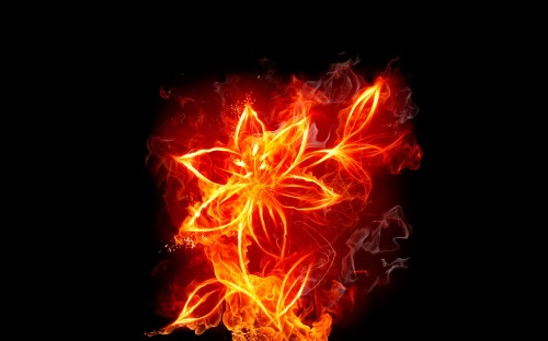 Image red and yellow fire digital wallpaper