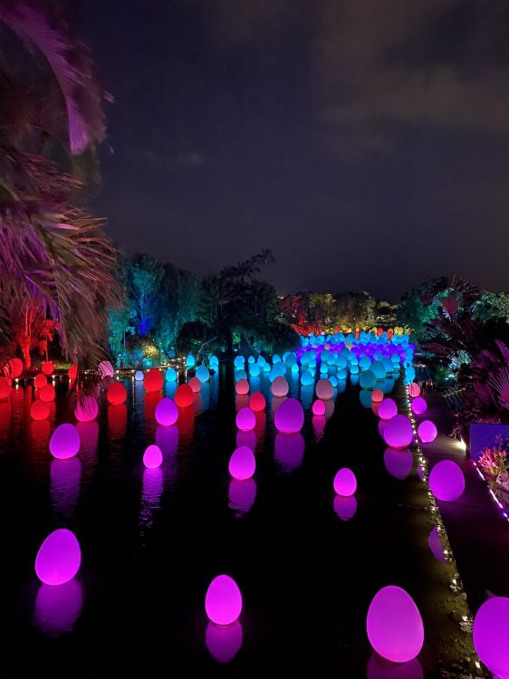 Lumière, Physique, Statistique, Sciences, Purple. Wallpaper in 1536x2048 Resolution