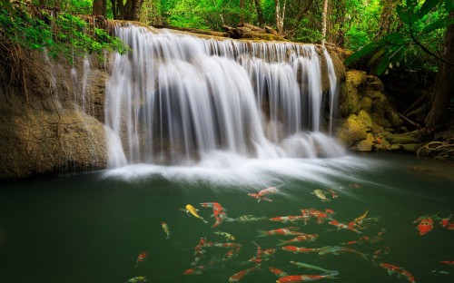 Image green water with water falls